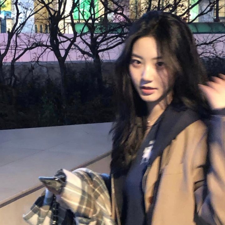 五十公里桃花坞第二季